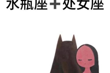 处女和水瓶星座在一起合适吗男生