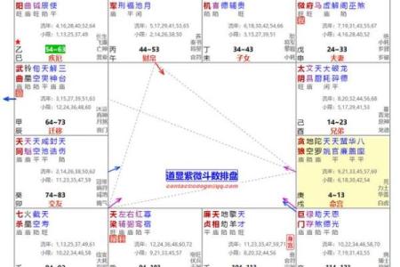 紫薇斗数怎么看晚运