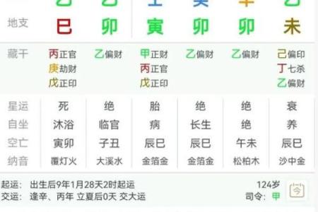 水木相生格局八字