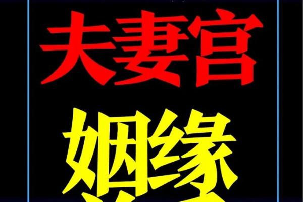 紫微斗数嫁 紫微斗数嫁二婚男？