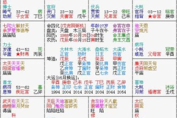 紫薇斗数看文采