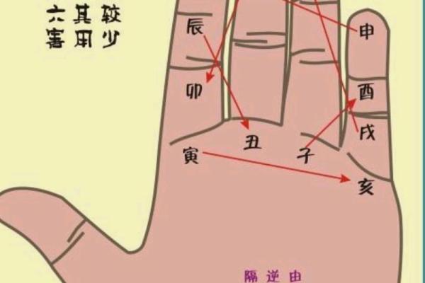 八字基础教学