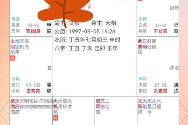 紫薇斗数庙陷表