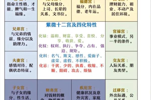 神巴巴紫薇斗数排盘