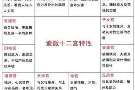 紫薇斗数是按虚岁