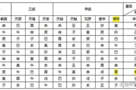 神巴巴紫薇斗数排盘