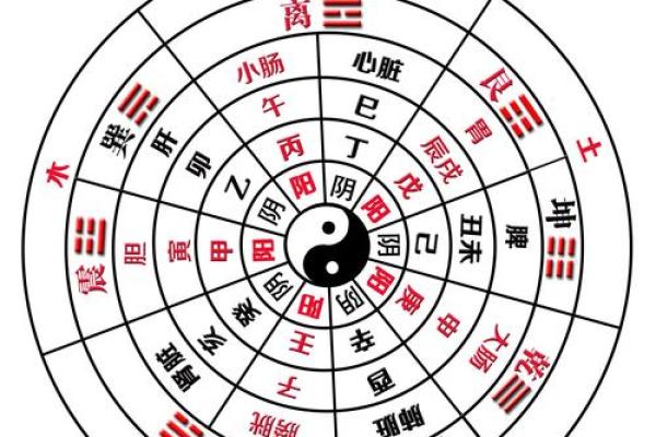 天干地支算命 天干地支算命是否可信