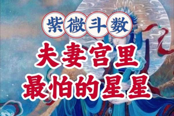 紫微斗数之夫妻宫与诸星,武曲星在夫妻宫是什么意思? 紫微斗数之夫妻宫与诸星,武曲星在夫妻宫是什么意思?