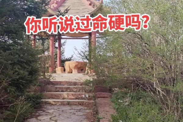 算命讲命硬