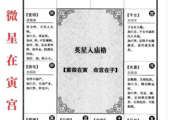 倪海厦天纪紫薇斗数排盘