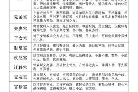 查八字命宫