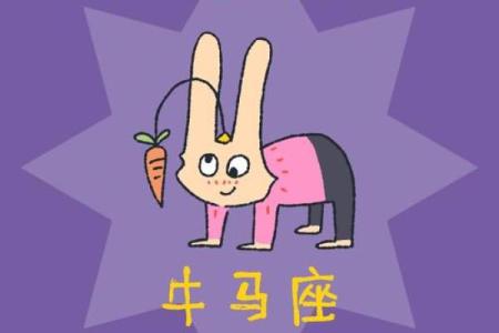 哪个星座是马的形状的人
