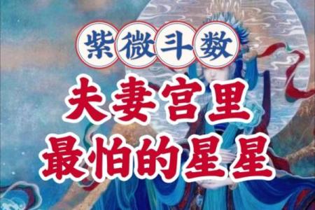 紫微斗数之夫妻宫与诸星,武曲星在夫妻宫是什么意思？