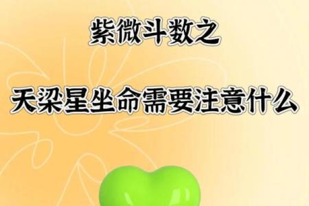 天粱紫薇斗数