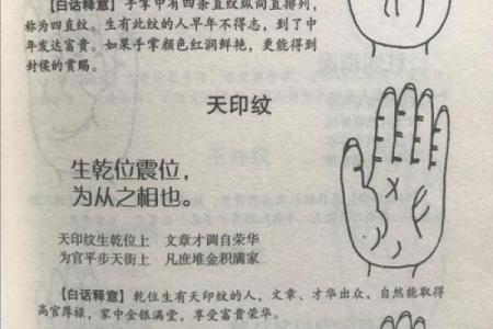 最准算命网免费算命2024年