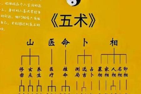 如何判断八字身旺，掌握八字身旺方法