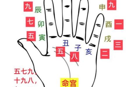 怎么看八字阴阳,八字是怎么数阴阳
