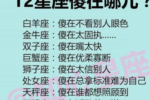 12星座最傻的歌怎么唱