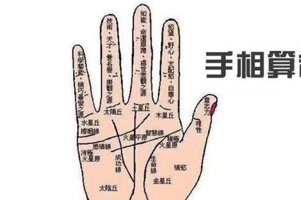 手相算命的基本原则 手相算命的基本原则