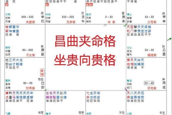 紫薇斗数富豪命