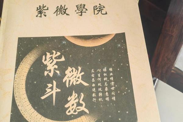 紫薇斗数好学不