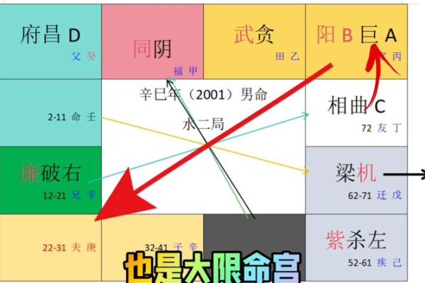 紫微斗数引出禄 紫薇命盘禄是什么意思？