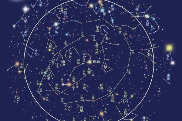 紫微斗数紫薇星排盘