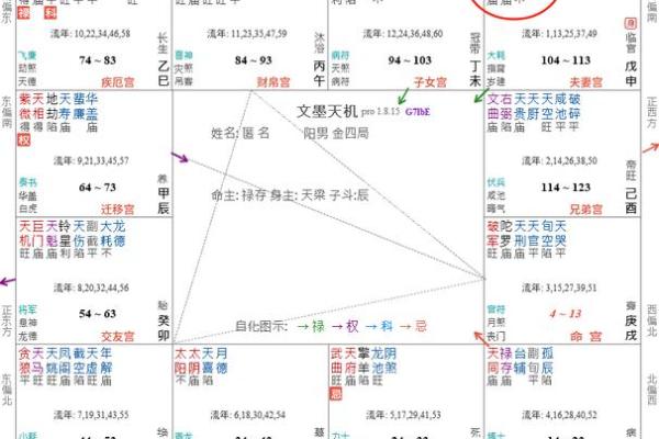 紫微斗数诸星落命宫之:天巫星详解 紫微斗数诸星落命宫之:天巫星详解