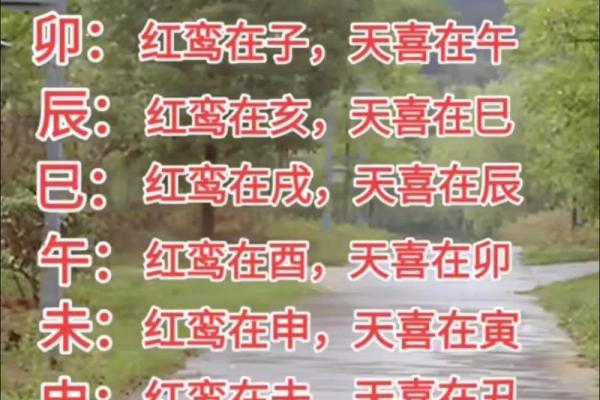 紫薇命盘看红鸾天喜,命宫红鸾天喜