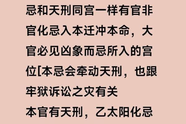 会紫薇斗数的人