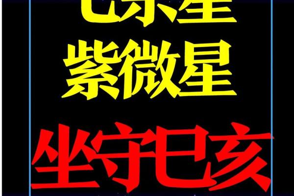 紫微斗数禄存星在财库 禄存在财帛宫是什么意思？