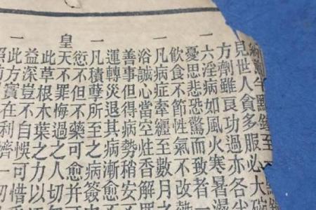 吕祖灵签野草闲花