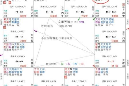 紫微斗数诸星落命宫之：天巫星详解