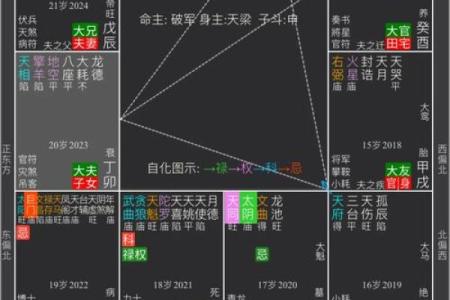 紫薇斗数看庚子年运
