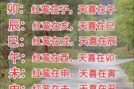 紫薇命盘看红鸾天喜,命宫红鸾天喜