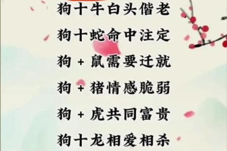 八字合婚属羊的女人和属猴男能配吗 婚姻好不好