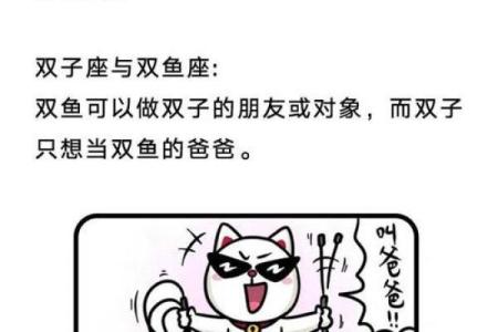 哪些星座跟双子座绝配呀