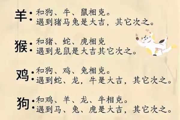 生肖八字