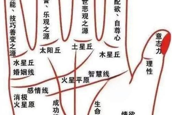 怎么算命用手就行