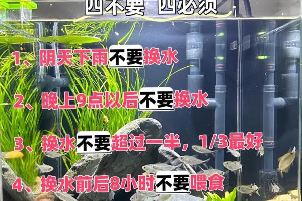 养鱼风水的忌讳有哪些呢