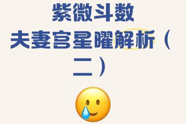 《紫微斗数》丙级星星曜组合特性
