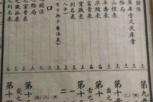 看相算命书