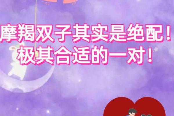 双子座长大适合嫁给什么星座男生