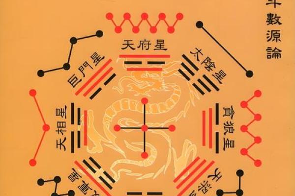 适合学紫薇斗数