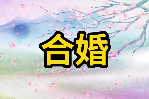 八字合婚5合什么意思呀