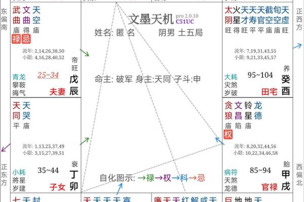 紫薇斗数的迁移