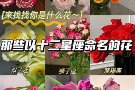 十二星座的专属花都有哪些呢