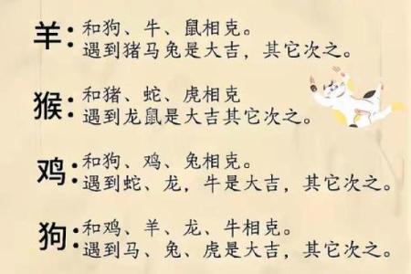 生肖八字