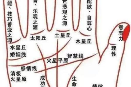 怎么算命用手就行