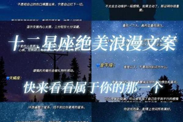 十二星座唯美句子简短